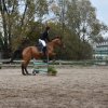 bABIE lATO 2018